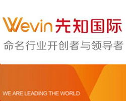起名領(lǐng)導(dǎo)者與開(kāi)拓者 市場(chǎng)營(yíng)銷策劃的雙翼齊飛